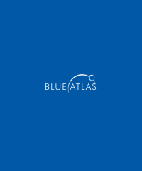 Blue Atlas Marketing – League City