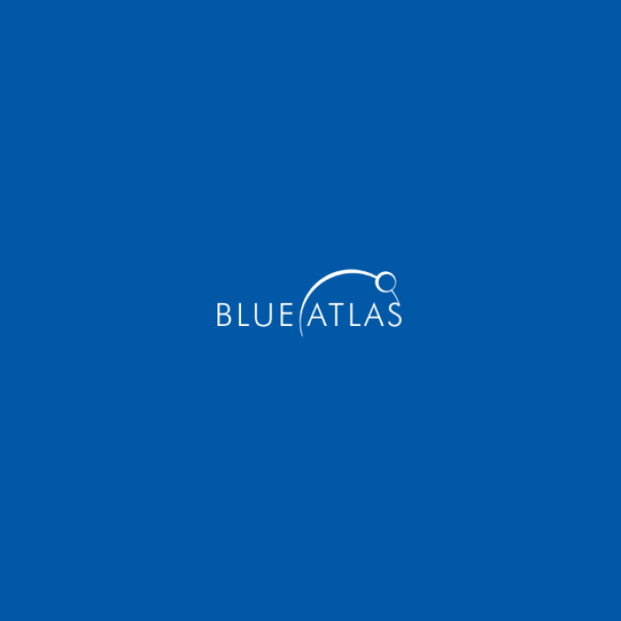 Blue Atlas Marketing &#8211; League City